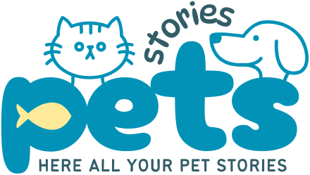 Pet Stories Hub